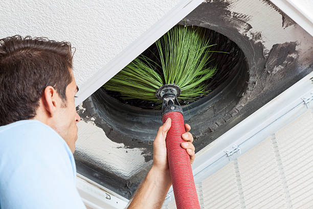 Best Local Air Duct Cleaning Services  in Sky Lake, FL