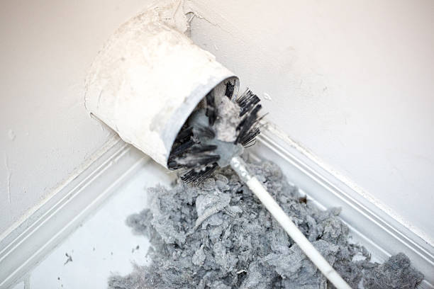 Best Ductwork Cleaning Services  in Sky Lake, FL